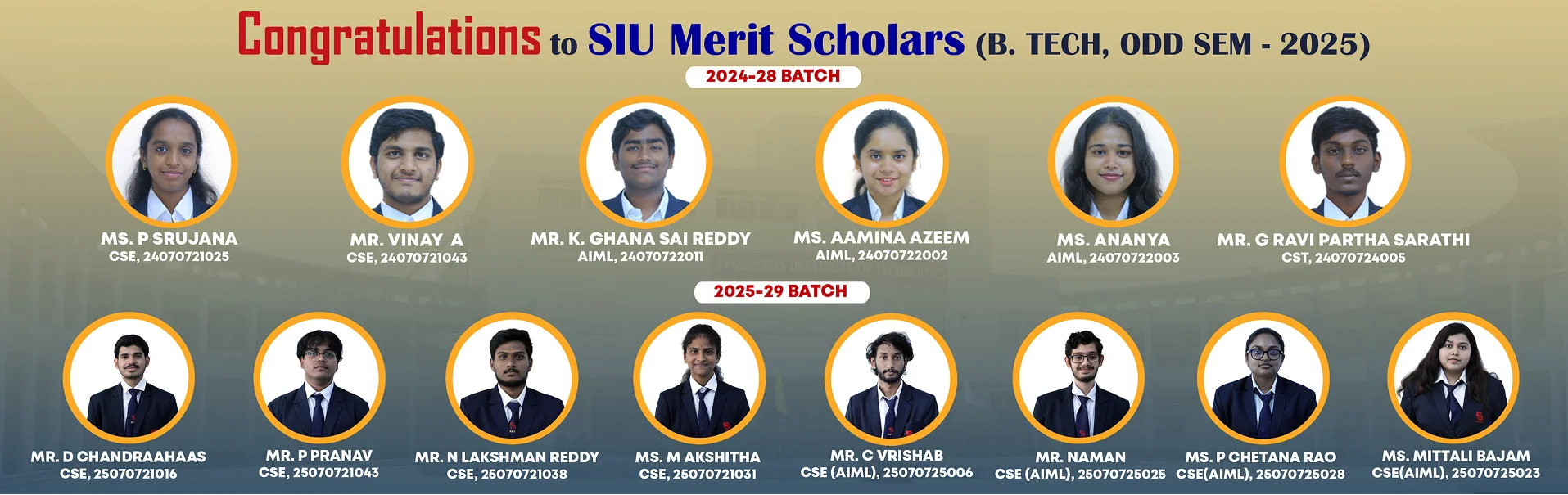 SIU Merit Banner